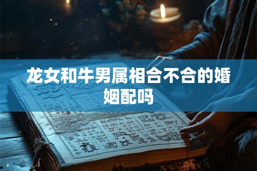 龙女和牛男属相合不合的婚姻配吗