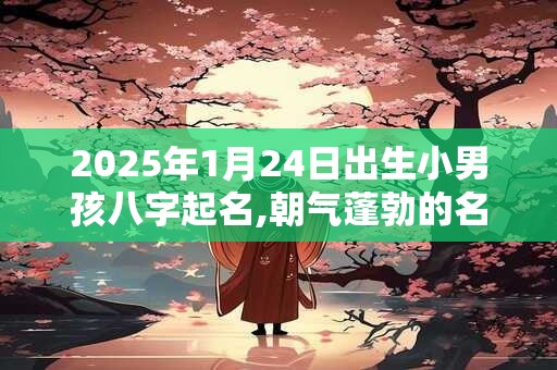 2025年1月24日出生小男孩八字起名,朝气蓬勃的名字推荐