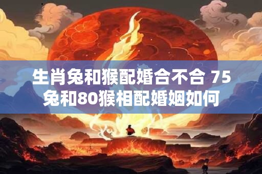 生肖兔和猴配婚合不合 75兔和80猴相配婚姻如何