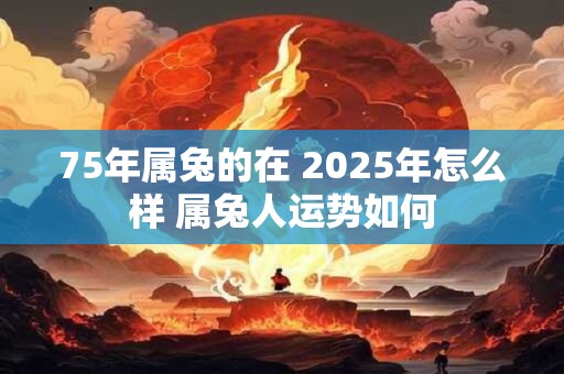 75年属兔的在 2025年怎么样 属兔人运势如何