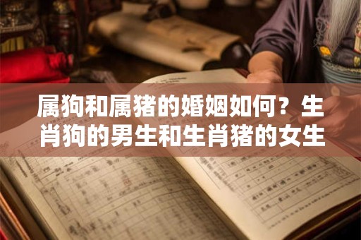 属狗和属猪的婚姻如何？生肖狗的男生和生肖猪的女生缘份指数