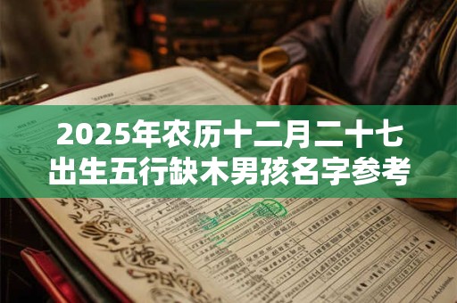 2025年农历十二月二十七出生五行缺木男孩名字参考