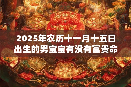 2025年农历十一月十五日出生的男宝宝有没有富贵命