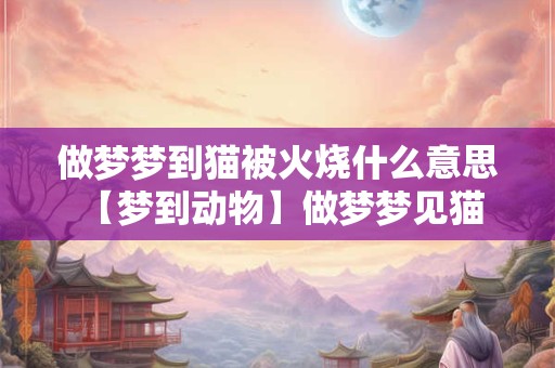 做梦梦到猫被火烧什么意思 【梦到动物】做梦梦见猫被火烧的暗示