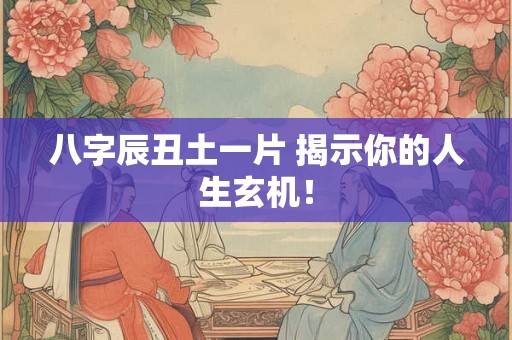 八字辰丑土一片 揭示你的人生玄机！