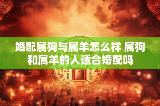 婚配属狗与属羊怎么样 属狗和属羊的人适合婚配吗