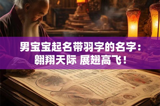 男宝宝起名带羽字的名字：翱翔天际 展翅高飞！