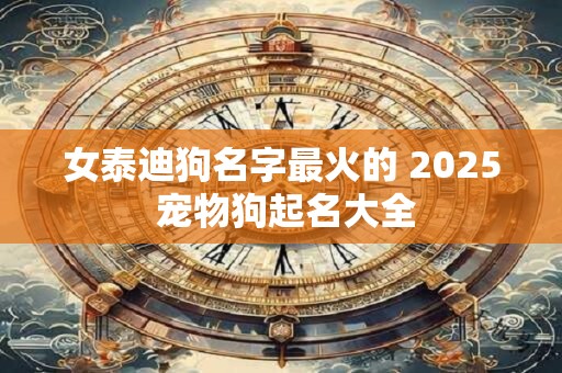 女泰迪狗名字最火的 2025 宠物狗起名大全