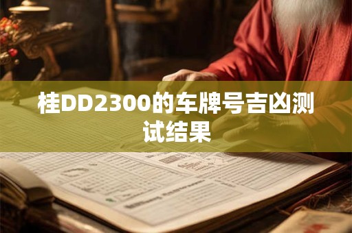 桂DD2300的车牌号吉凶测试结果