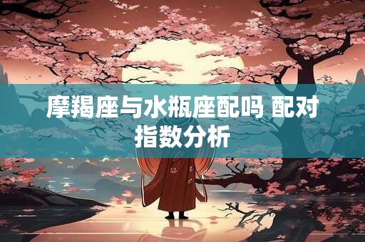 摩羯座与水瓶座配吗 配对指数分析