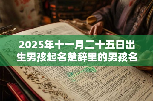 2026年十一月二十五日出生男孩起名楚辞里的男孩名字