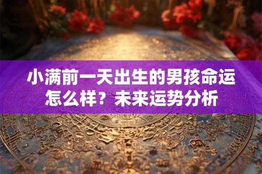 小满前一天出生的男孩命运怎么样？未来运势分析