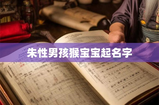 朱性男孩猴宝宝起名字