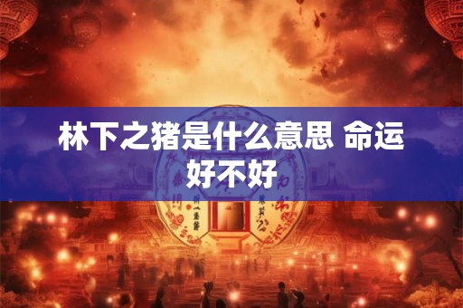 林下之猪是什么意思 命运好不好
