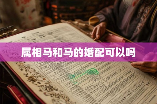 属相马和马的婚配可以吗