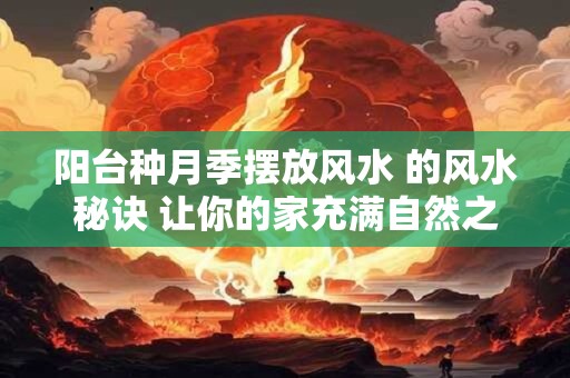 阳台种月季摆放风水 的风水秘诀 让你的家充满自然之美！