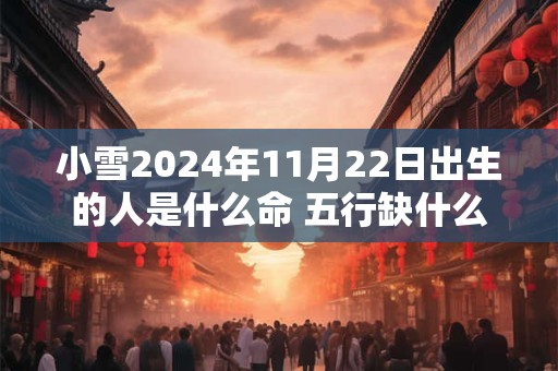 小雪2024年11月22日出生的人是什么命 五行缺什么
