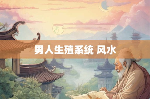 男人生殖系统 风水