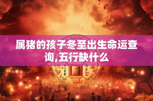 属猪的孩子冬至出生命运查询,五行缺什么 属猪的孩子冬至出生命运查询,五行缺什么