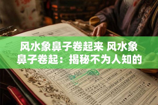 风水象鼻子卷起来 风水象鼻子卷起：揭秘不为人知的神秘现象