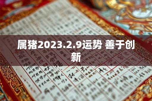 属猪2023.2.9运势 善于创新