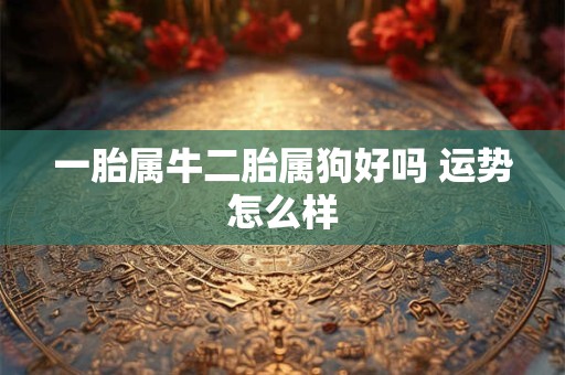 一胎属牛二胎属狗好吗 运势怎么样