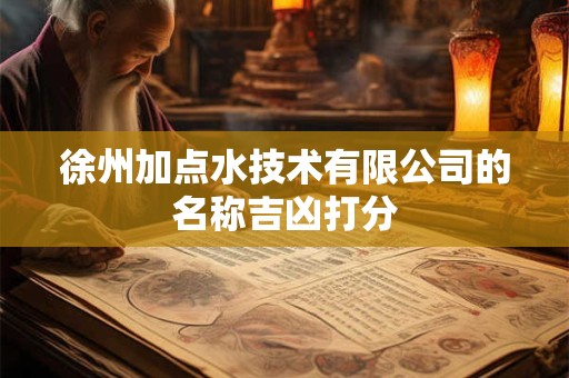 徐州加点水技术有限公司的名称吉凶打分