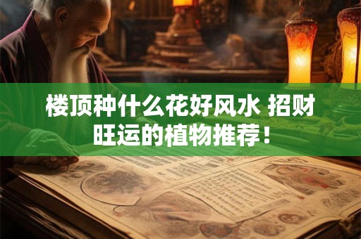 楼顶种什么花好风水 招财旺运的植物推荐！