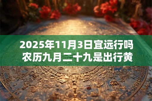 2025年11月3日宜远行吗 农历九月二十九是出行黄道吉日吗