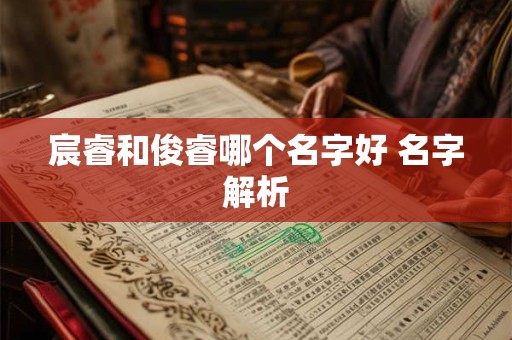 宸睿和俊睿哪个名字好 名字解析