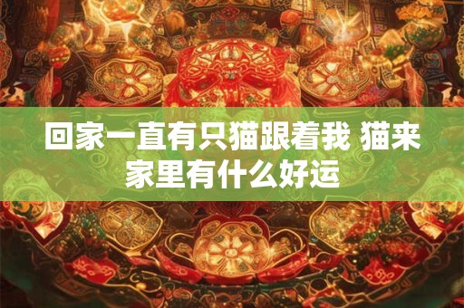 回家一直有只猫跟着我 猫来家里有什么好运