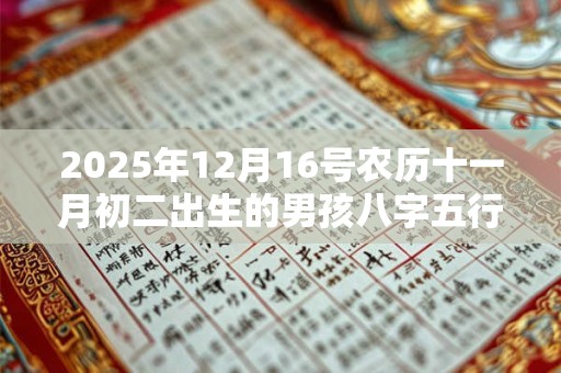 2025年12月16号农历十一月初二出生的男孩八字五行起名字