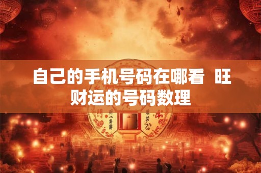 自己的手机号码在哪看  旺财运的号码数理
