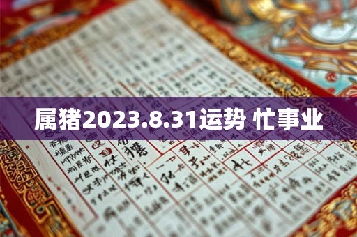 属猪2023.8.31运势 忙事业