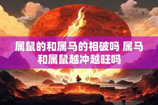 属鼠的和属马的相破吗 属马和属鼠越冲越旺吗