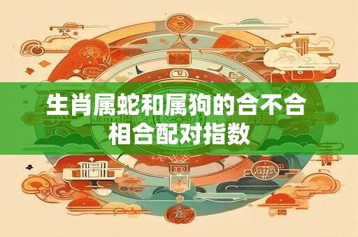 生肖属蛇和属狗的合不合 相合配对指数