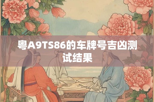 粤A9TS86的车牌号吉凶测试结果