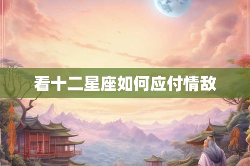 看十二星座如何应付情敌