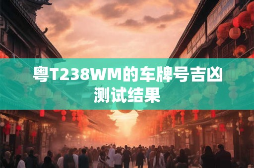 粤T238WM的车牌号吉凶测试结果