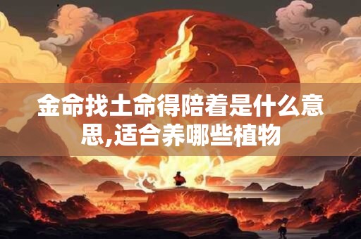 金命找土命得陪着是什么意思,适合养哪些植物