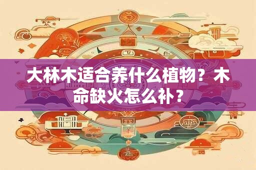 大林木适合养什么植物？木命缺火怎么补？