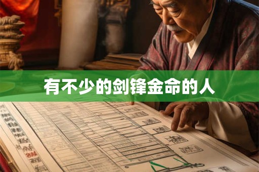 有不少的剑锋金命的人