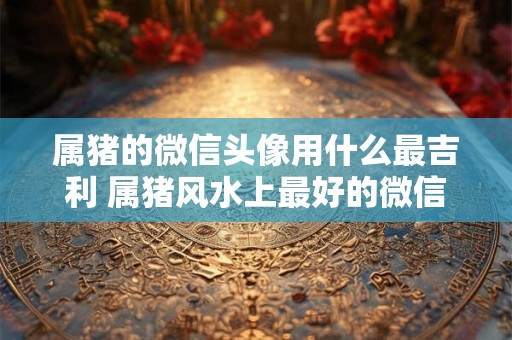 属猪的微信头像用什么最吉利 属猪风水上最好的微信头像