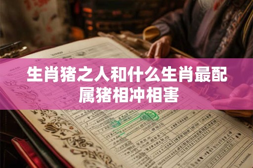生肖猪之人和什么生肖最配 属猪相冲相害