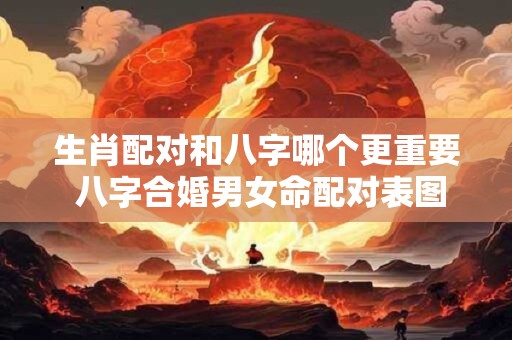 生肖配对和八字哪个更重要 八字合婚男女命配对表图