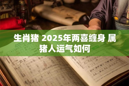 生肖猪 2025年两喜缠身 属猪人运气如何