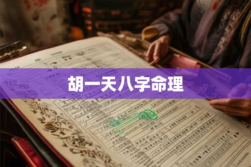 胡一天八字命理