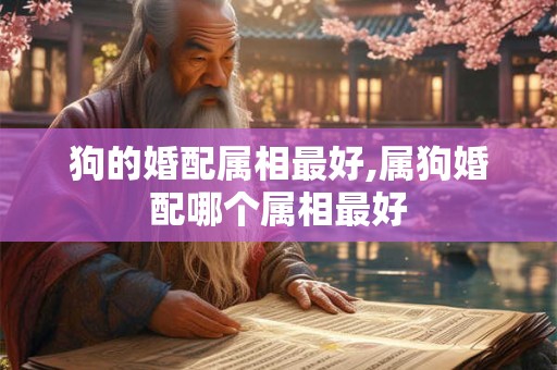 狗的婚配属相最好,属狗婚配哪个属相最好