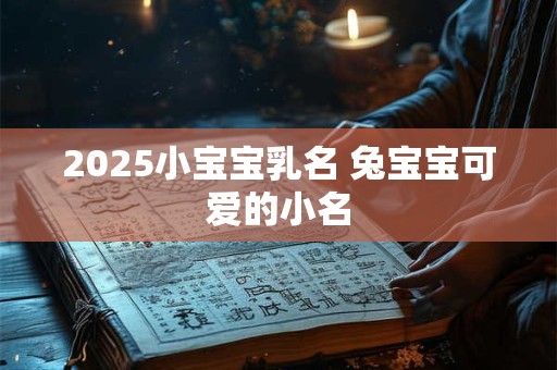 2025小宝宝乳名 兔宝宝可爱的小名