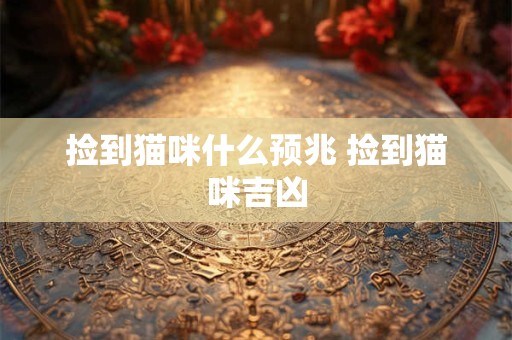 捡到猫咪什么预兆 捡到猫咪吉凶
